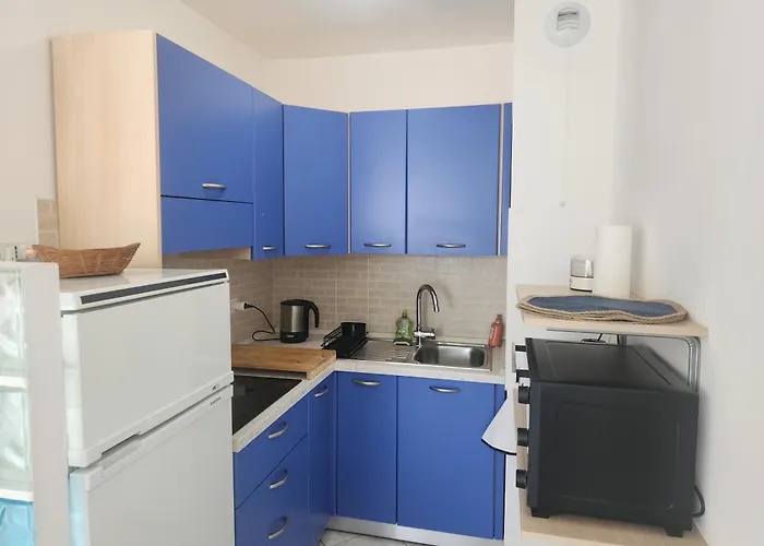 Les Fleurs Bleues Appartement Antibes